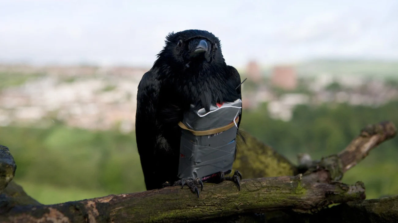 Bốn Kẻ Dũng Mãnh Full