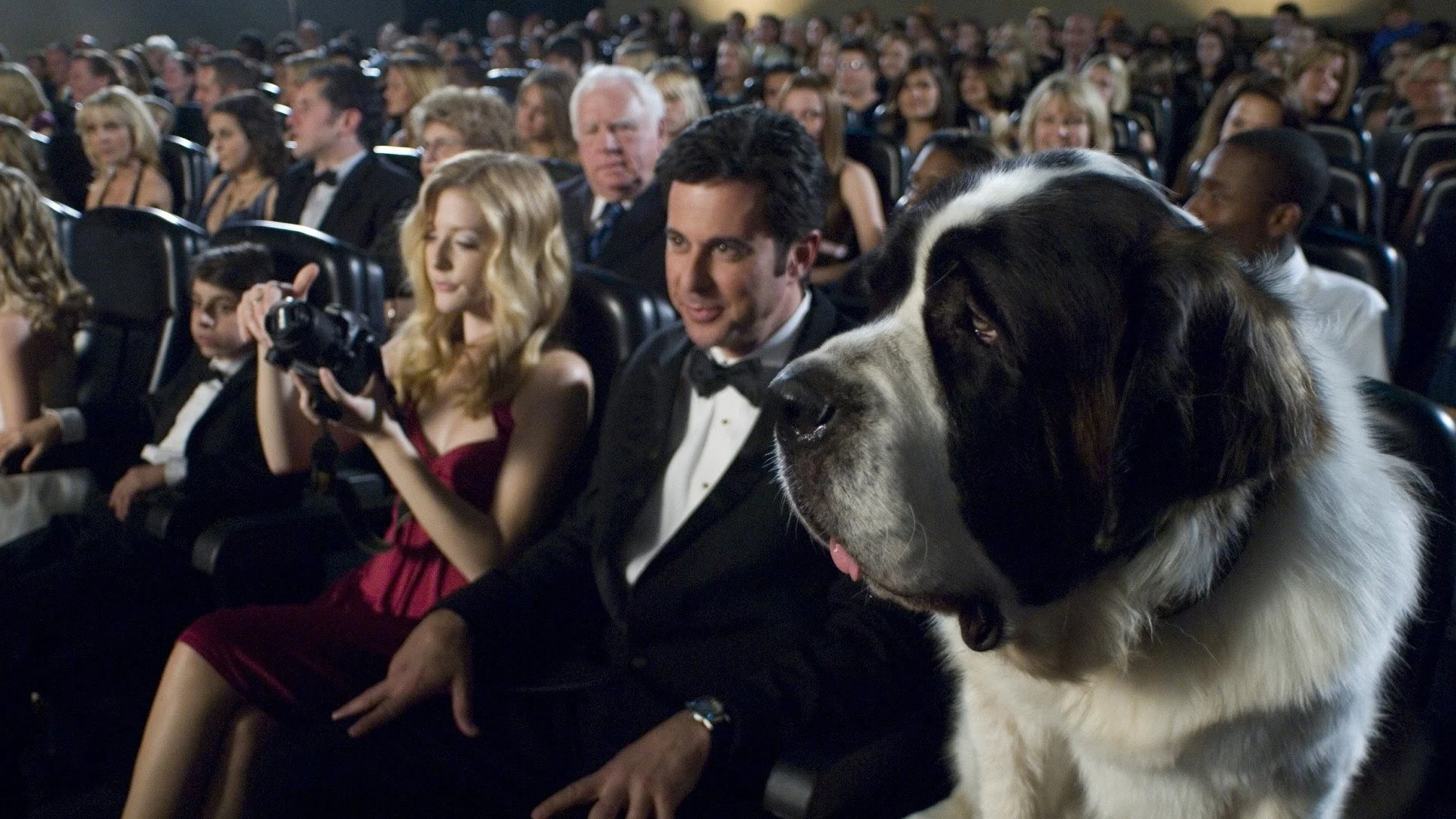 Chú chó Beethoven 6: Ngôi sao mới Full