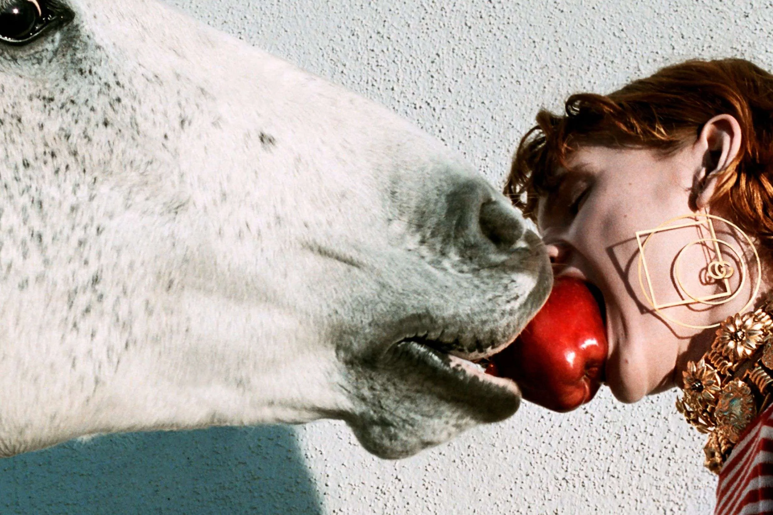 Cô gái cùng bầy ngựa Full