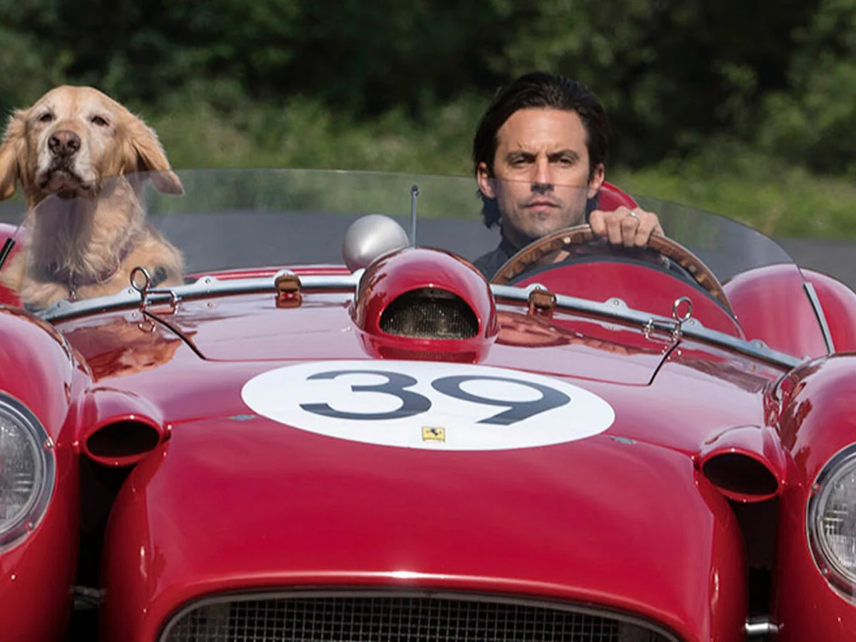 Cuộc Đời Phi Thường Của Chú Chó Enzo Full