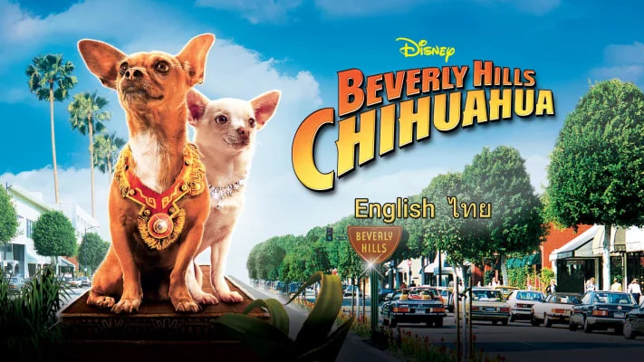 Những Chú Chó Chihuahua Full