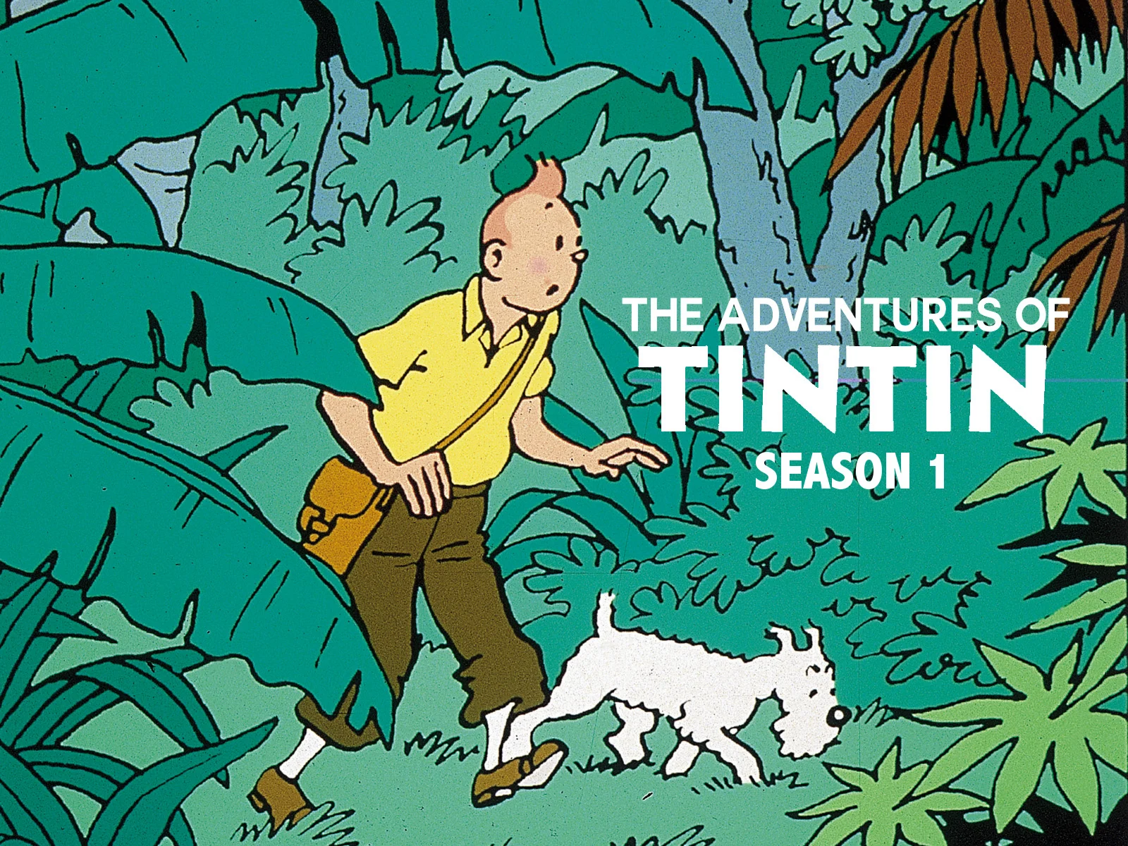 Những Cuộc Phiêu Lưu Của Tintin: Phần 1 1