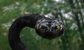 Trăn Khổng Lồ 3 Full