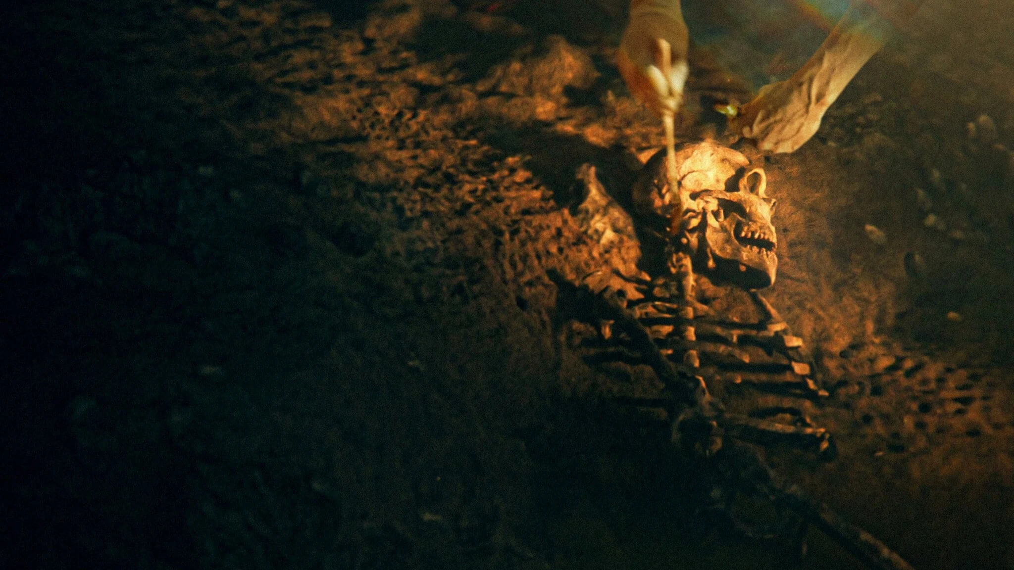 Bí mật của người Neanderthal Full