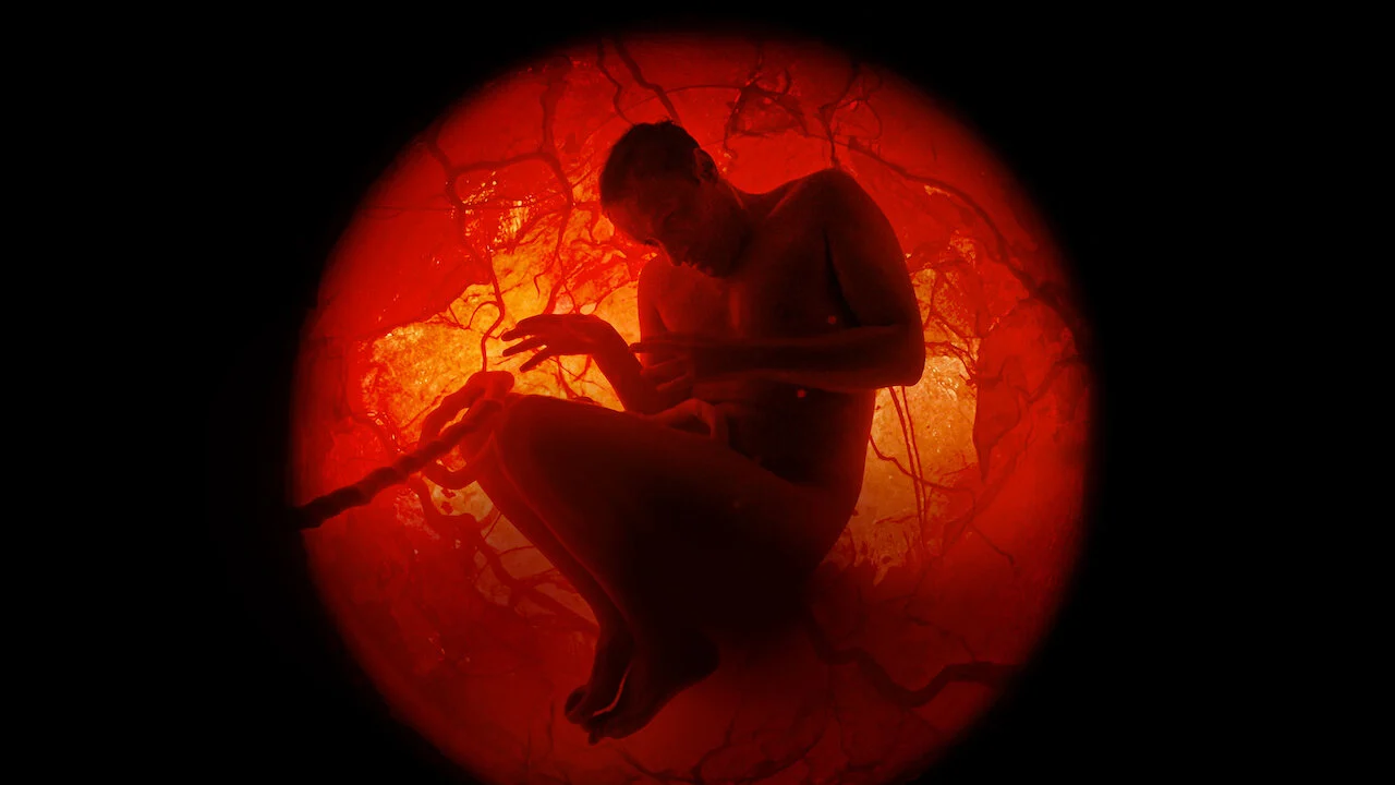 Cả một đời người với Jamie Demetriou Full