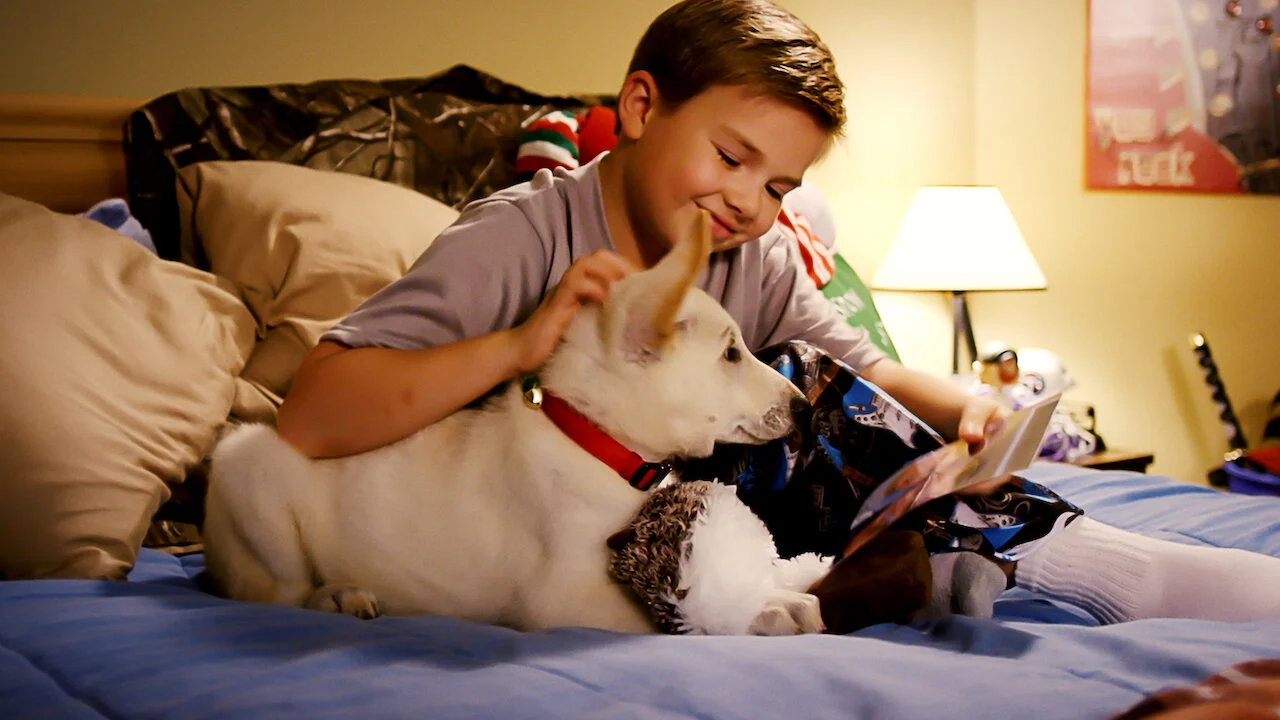 Cún Belle và Giáng sinh Full