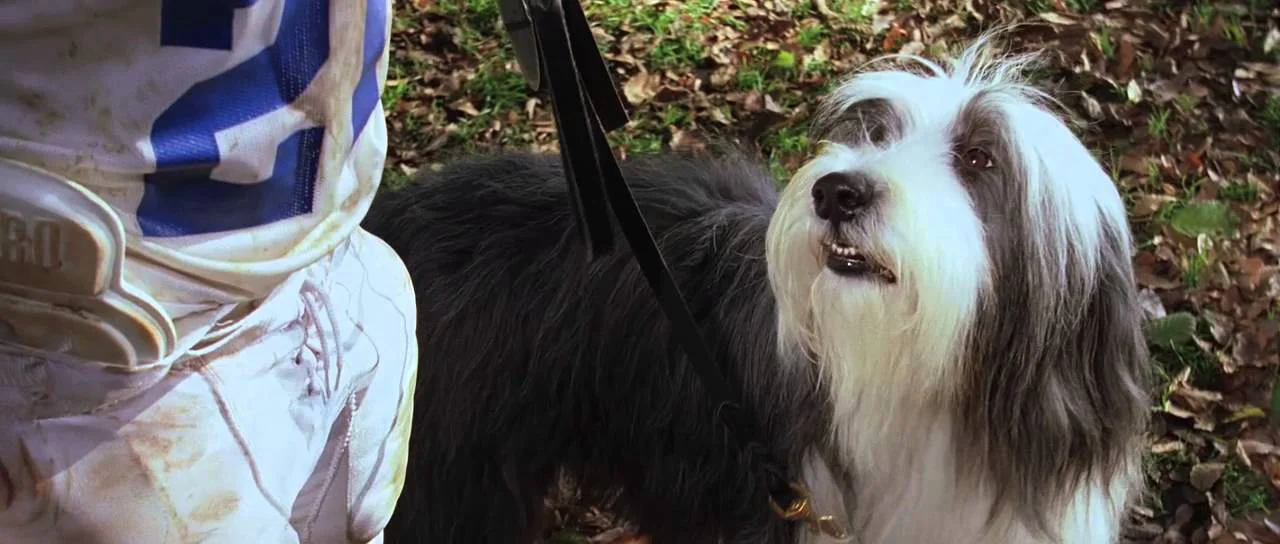 Điệp Vụ Chó Xù Full