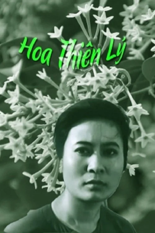 Hoa Thiên Lý Full