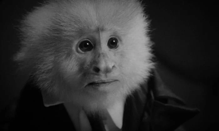 JACK ĐÃ LÀM GÌ? Full