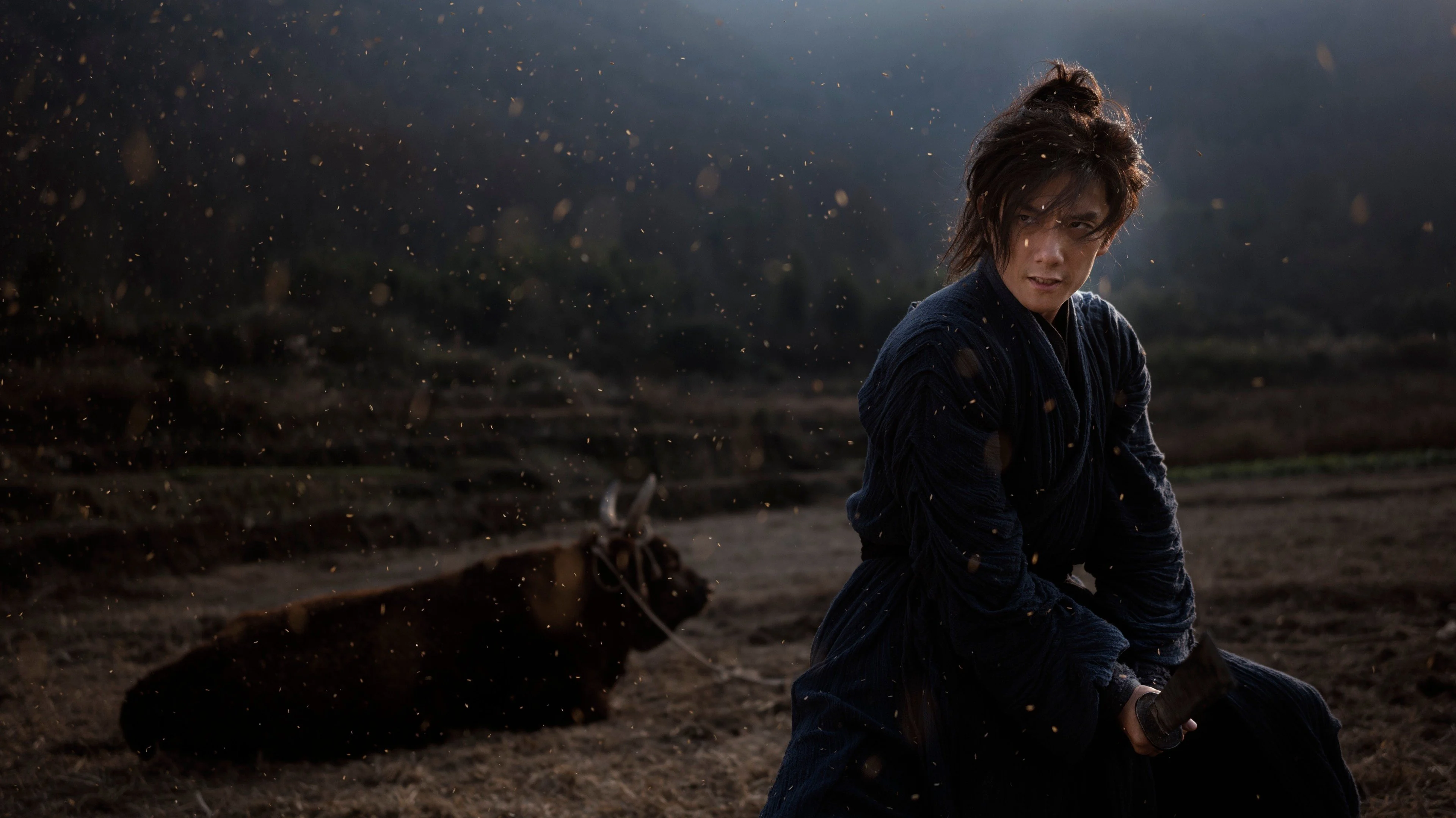 Lệnh Truy Nã Giang Hồ Full