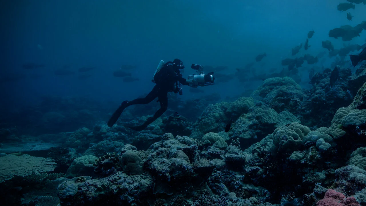 Màn đêm trên Trái Đất: Thước phim trong bóng tối Full