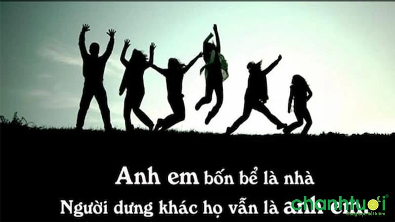 Người anh em xa lạ Full