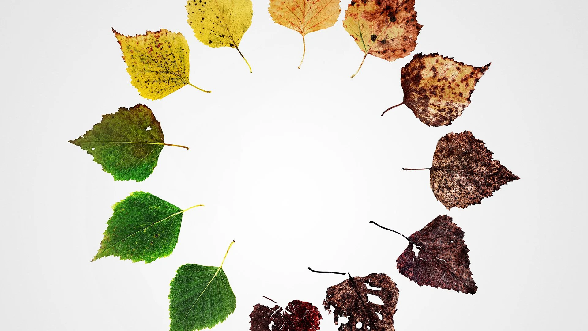 Những Kết Thúc Khác: Sáu Cách Mới Để Chết Ở Mỹ Full