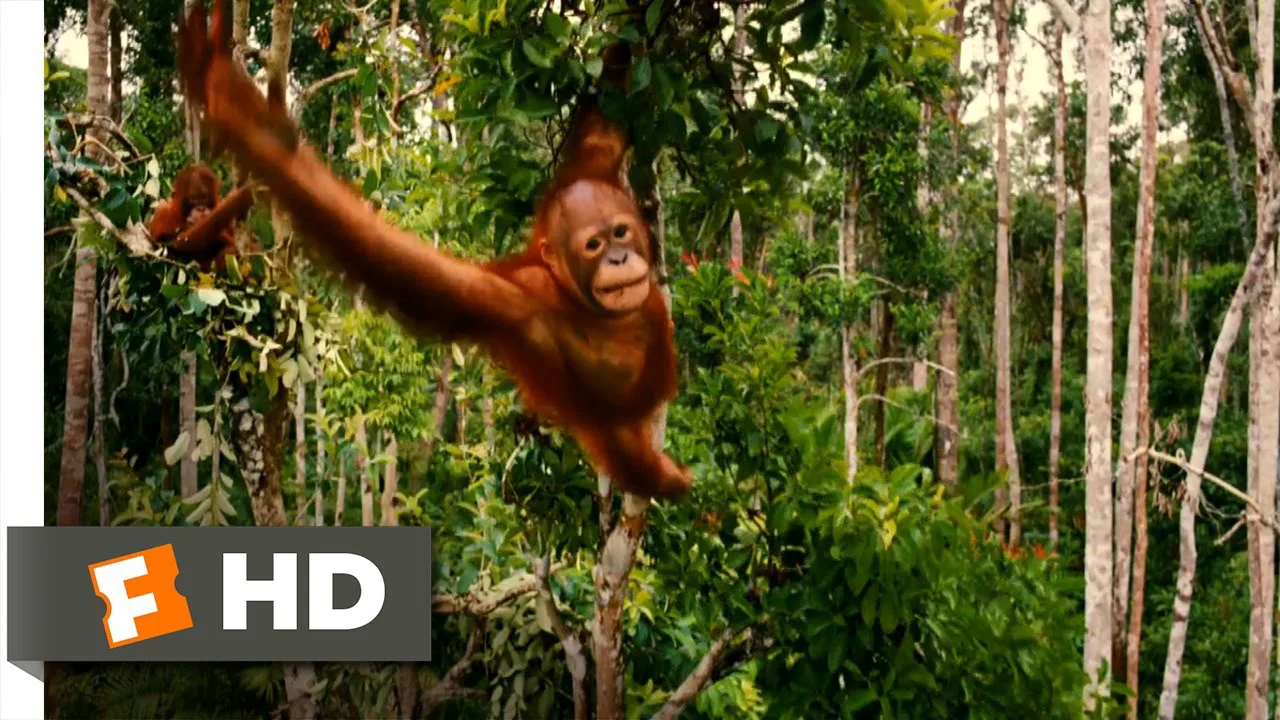 Những Loài Vật Mồ Côi Full