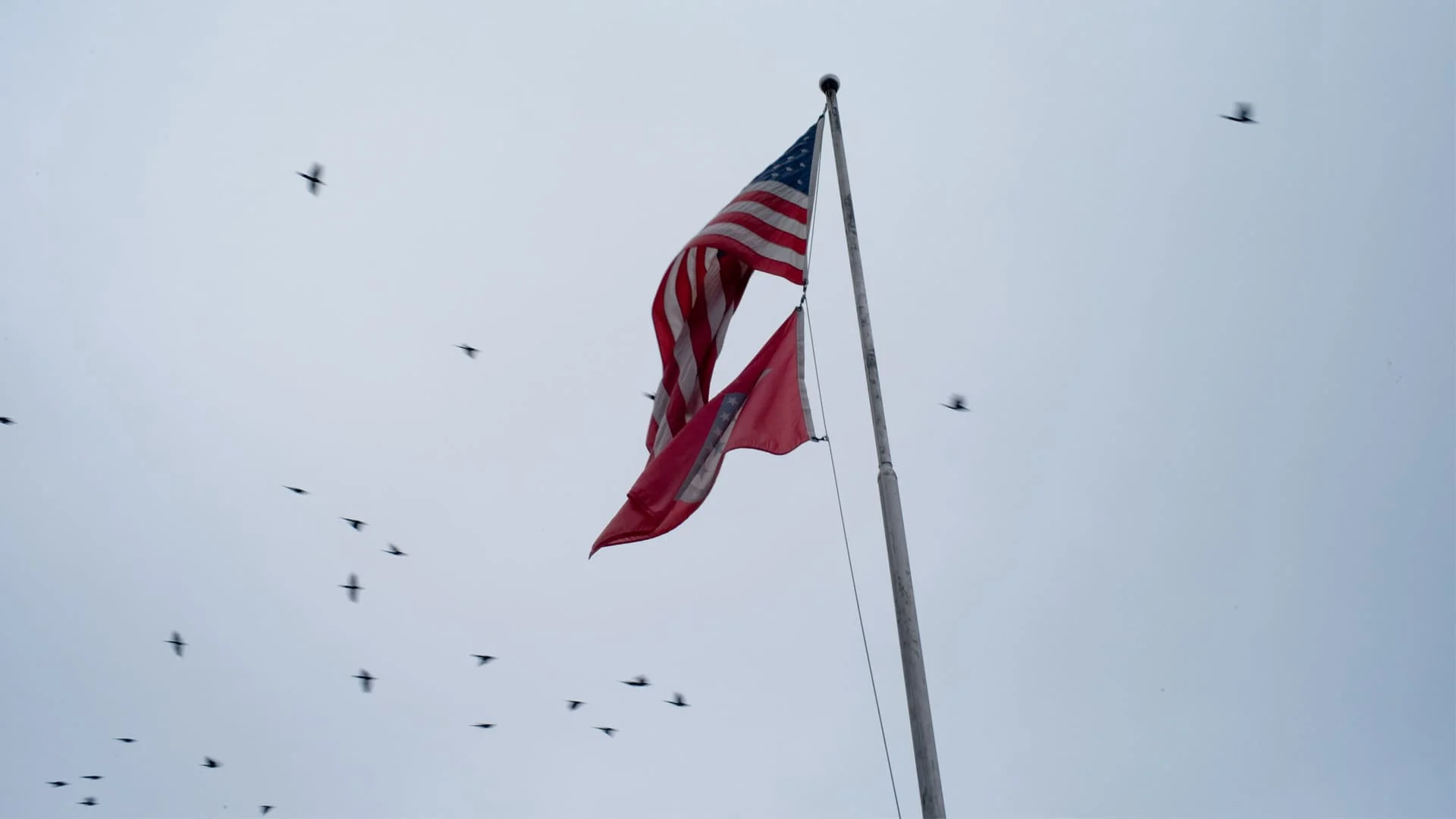 Phía Tây Memphis Full