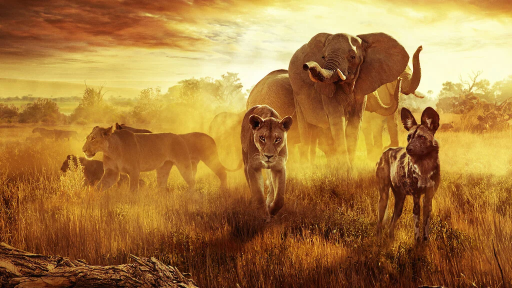 Sinh tồn nơi thiên đường: Câu chuyện gia đình động vật Full