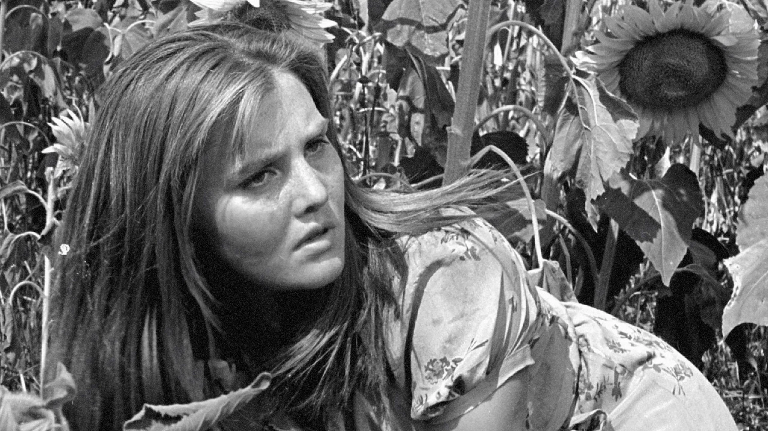 Tấn công và rút lui Full