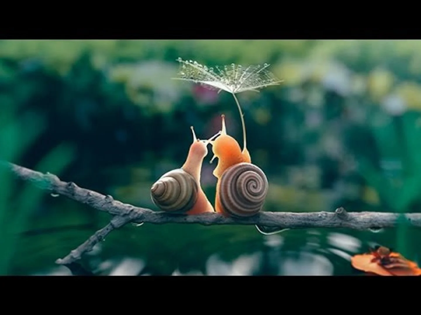 Thế Giới Côn Trùng Full