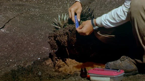 Thế Giới Đã Mất Full