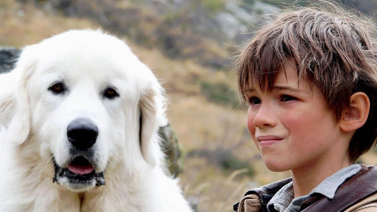 Tình Bạn Của Belle Và Sebastian Full