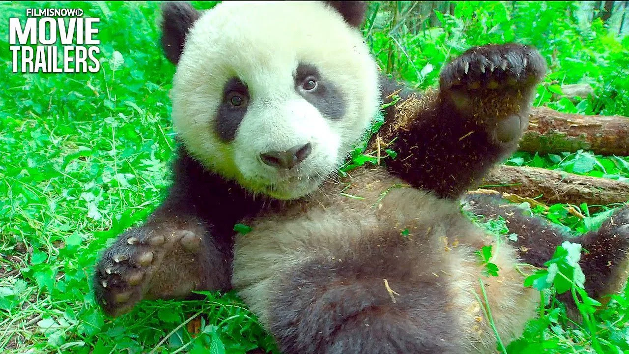 Trái Đất: Một Ngày Tuyệt Vời Full