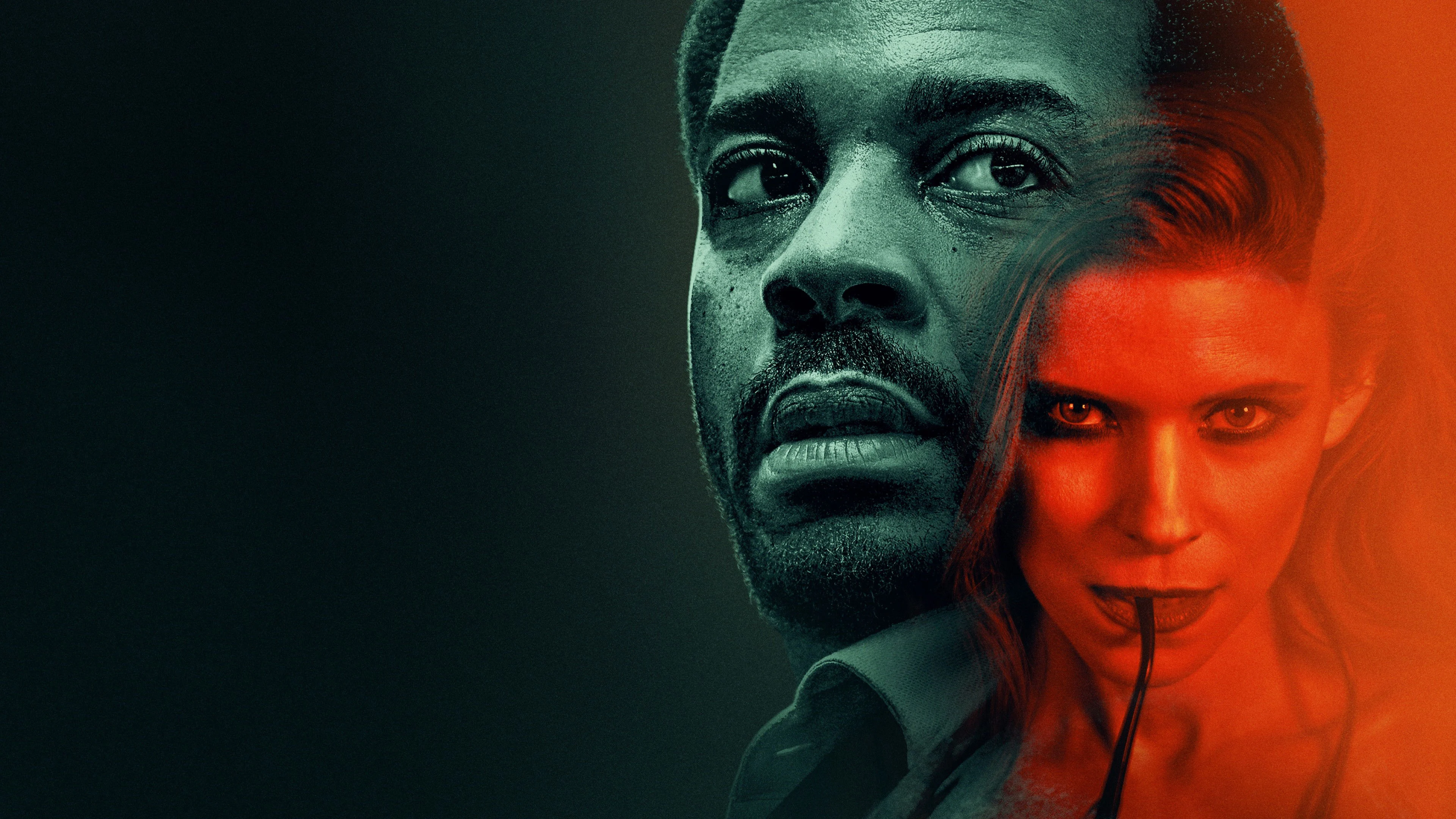 Con Gà và Nắm Thóc Full