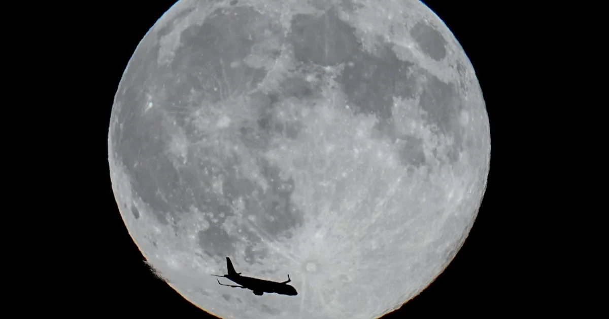 Tiệc Quái thú dưới ánh trăng Full